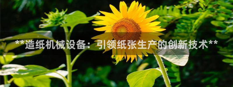 九游会视讯,九游会视讯官网