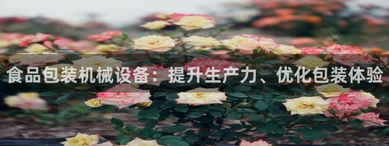 ag九游会app下载版官网正版