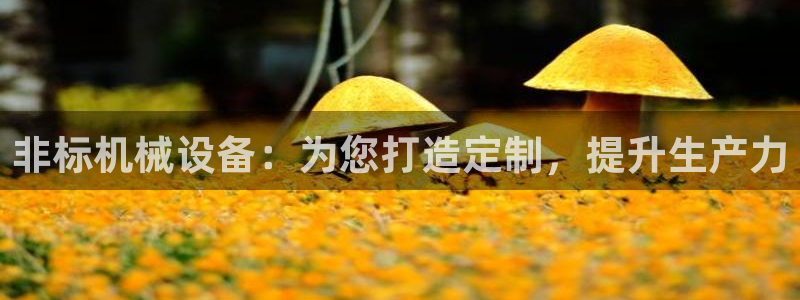 九游会集团新的选择
