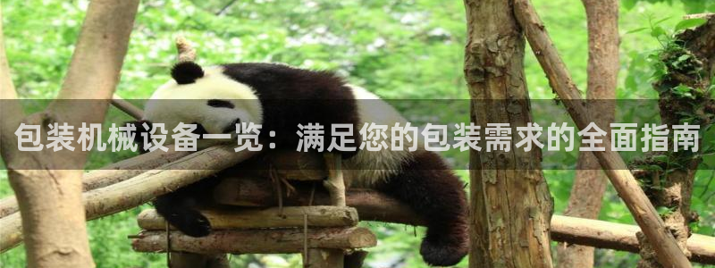 j9九游会游戏