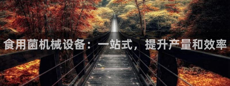 九游会大家觉得怎么样