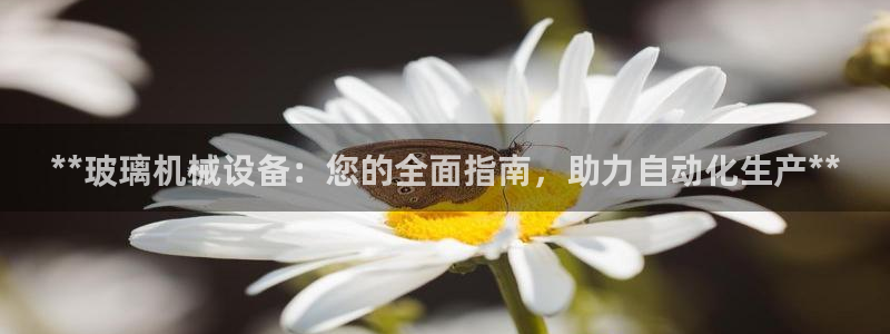 九游会进不去了