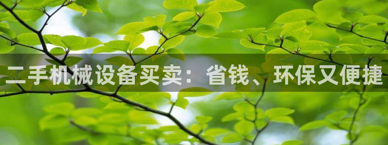 九游会老哥必备的俱乐部交流区