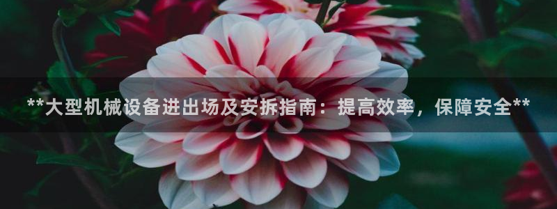 j9九游会app在哪里