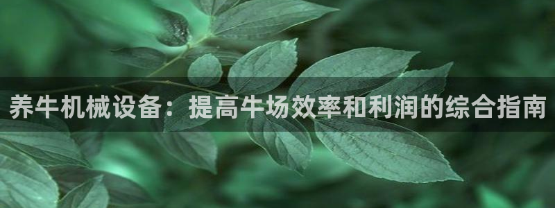 j9九游会游戏
