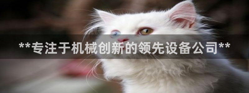 j9九游会入口j9