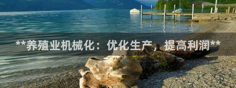 九游会线上平台下架吗