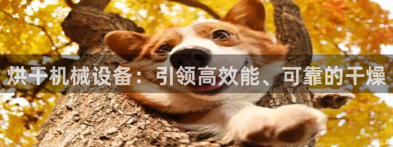 j9九游会官网入口
