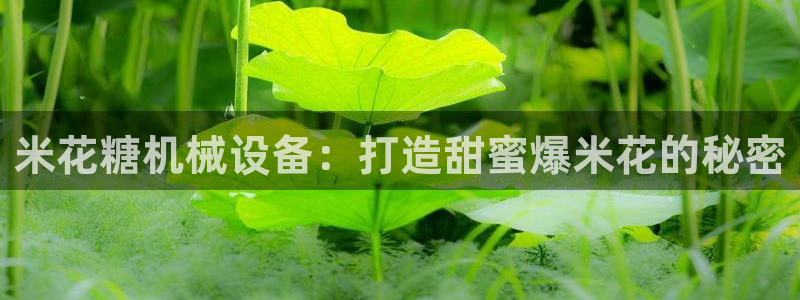 j9九游会真人手机版