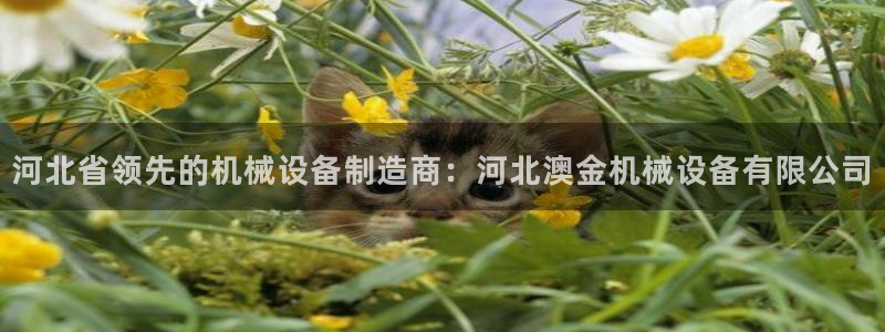 ag8九游