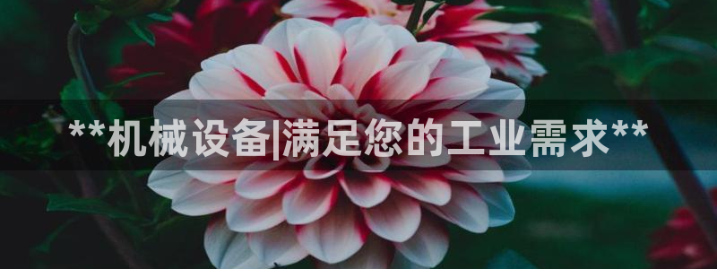 九游会AG登录入口