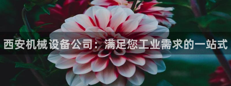 ag九游会登入