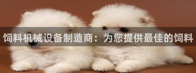 ag九游会官网网址