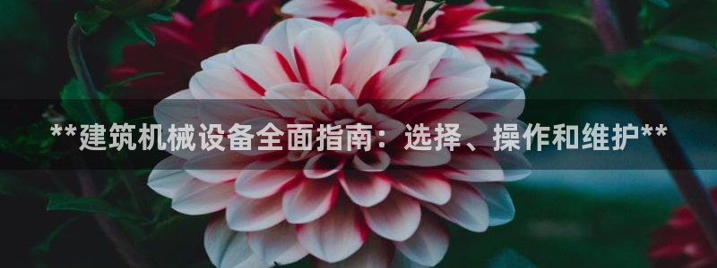 j9官网登录入口网页