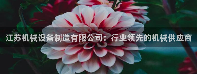 j9九游会不出款