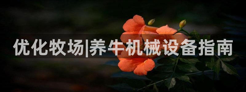 九游会平台网址