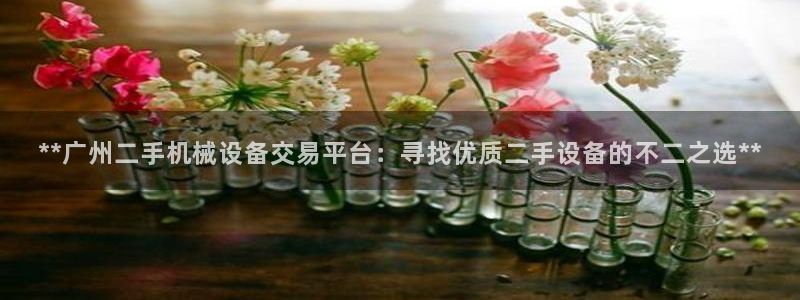 九游会ag私享
