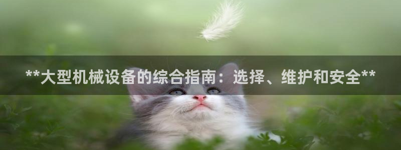 九游会官网APP平台