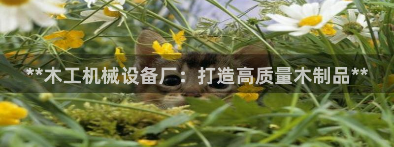 九游会首页进入