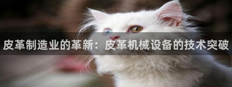 九游会集团