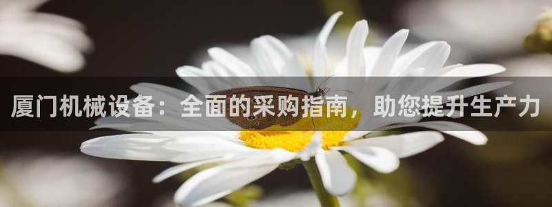 九游会ag官方网站