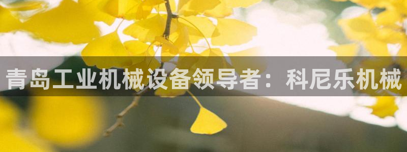 九游会 app下载