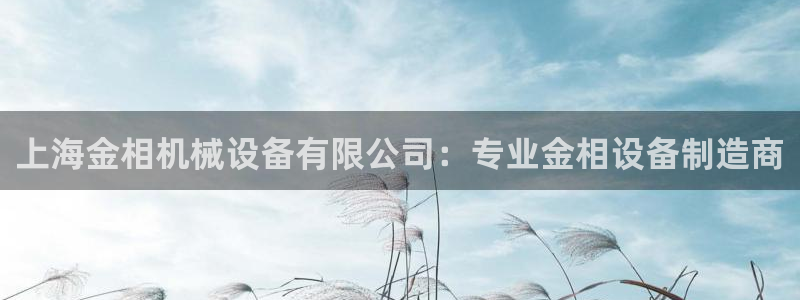 九游会官网入口ag亚洲