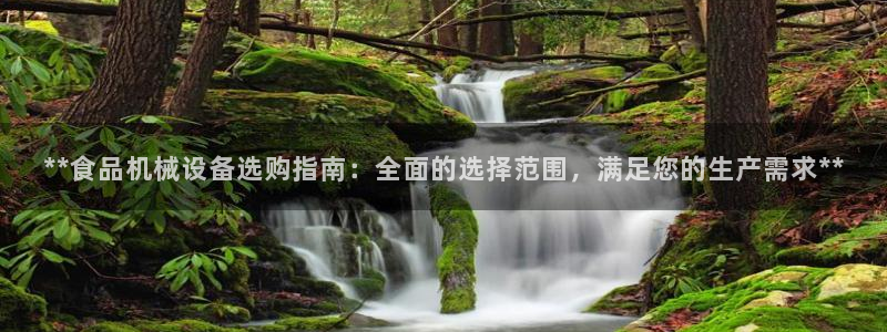 九游会老哥