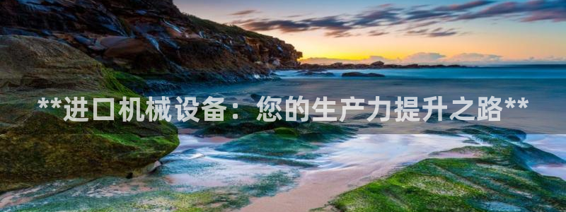 九游会网址大全