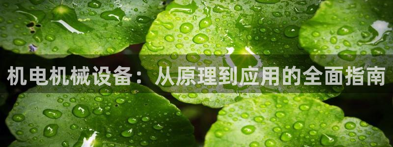 九游会官网贴吧