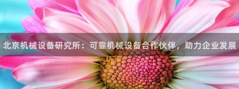 j9九游会真人游戏第一品牌