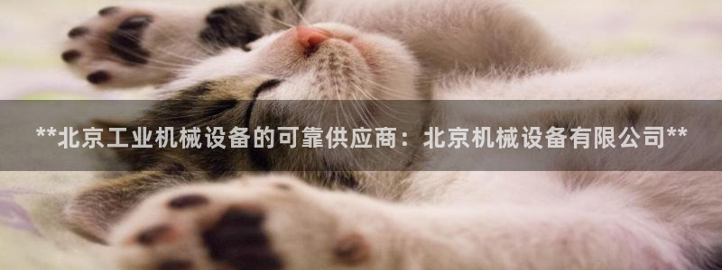 j9九游会导航
