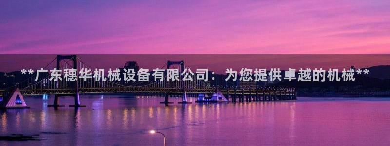 ag怎么变成九游会了
