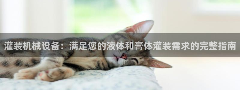 九游会是干嘛的