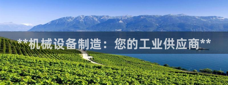 九游会老哥