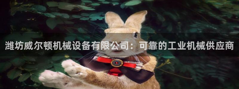 j9九游会体育