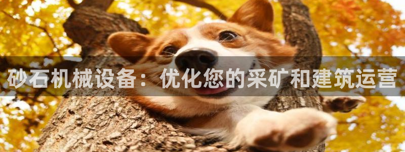 九游会集团货币
