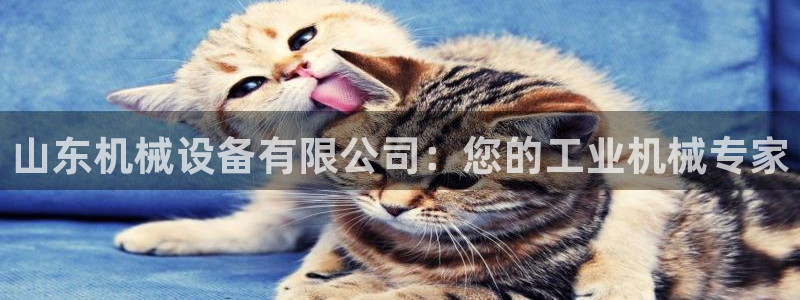 九游会游戏官网网页版