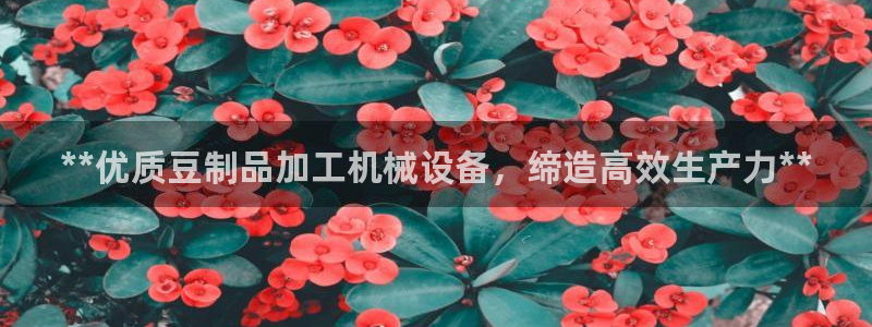 九游会j9官网登陆