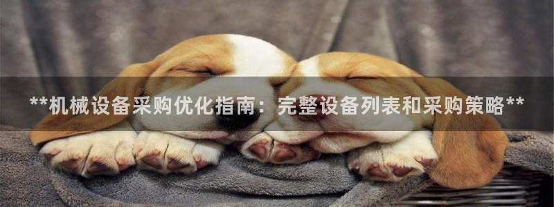 九游会ag真人官网