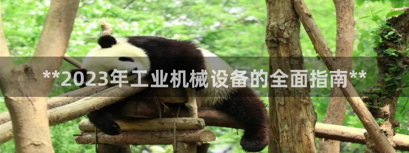 ag九游会j9