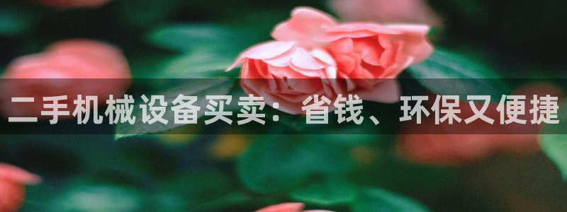 j9九游会老哥俱乐部