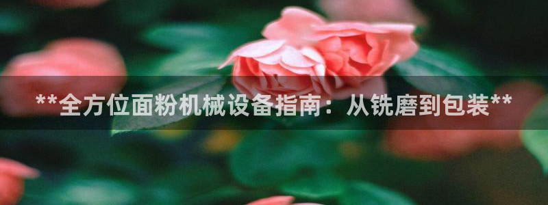 九游会官网地址
