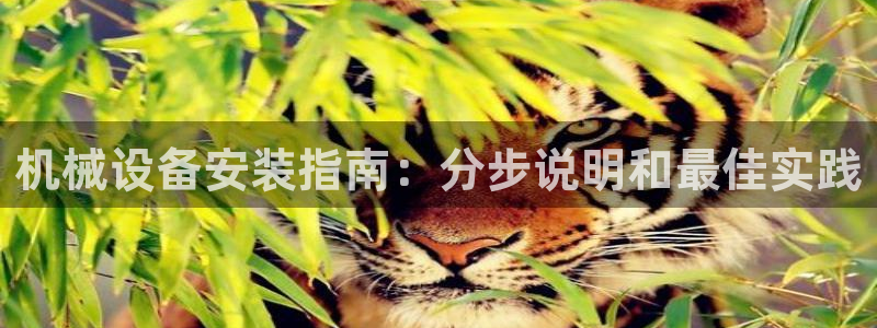 J9九游会-真人游戏第一品牌