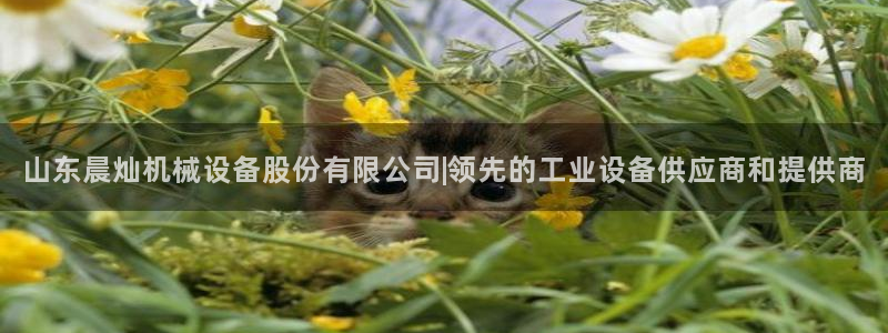 九游会ag官方网站
