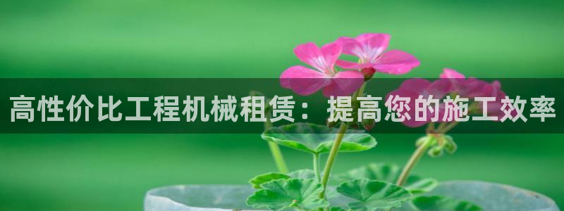 九游会ag平台