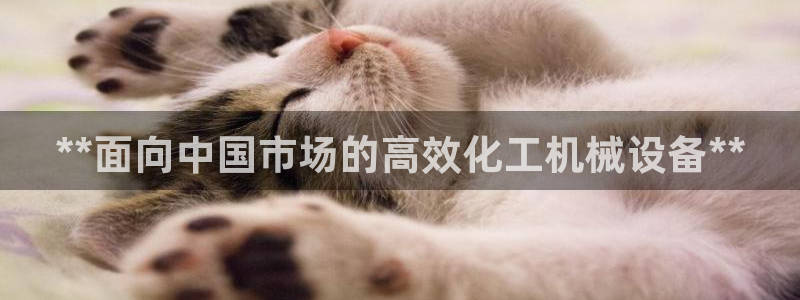 j9九游会安卓版下载