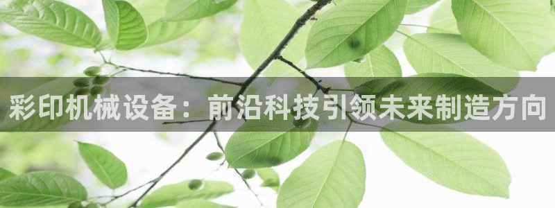 九游会 ag