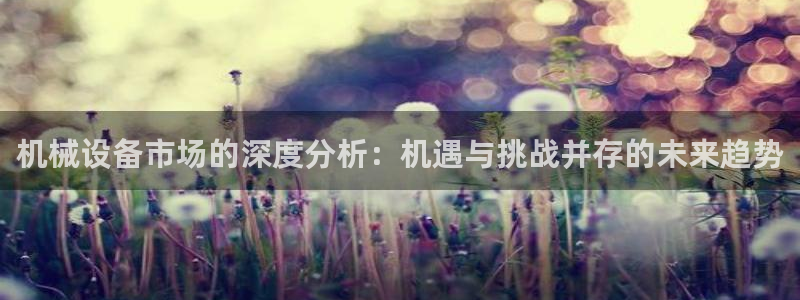 ag九游会论坛