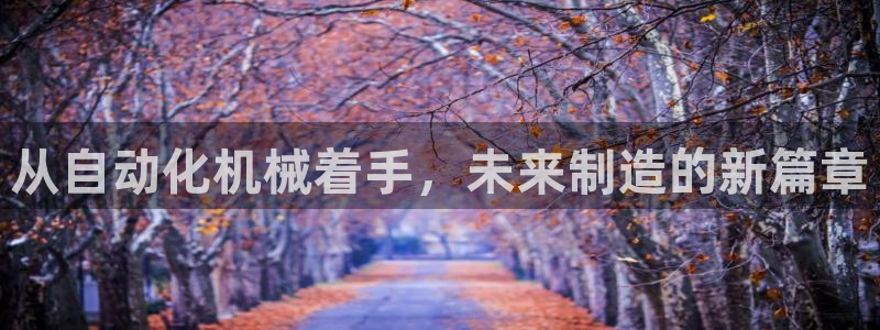 九游会进不去了